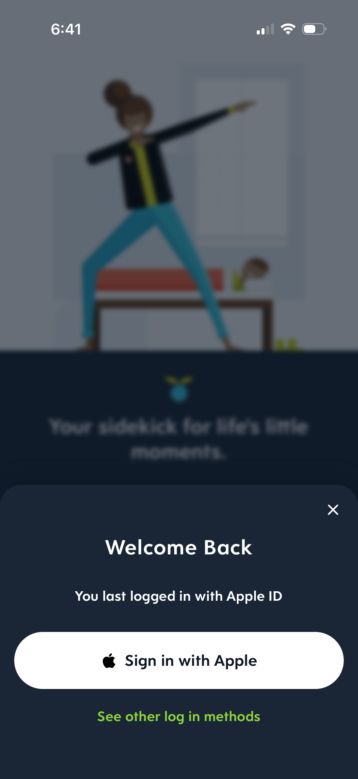 huckleberry login screenshot